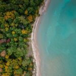 Κλιματική κρίση: Τα μισά μαγκρόβια οικοσυστήματα του πλανήτη κινδυνεύουν