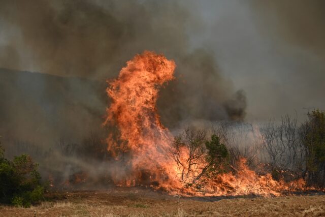 Χαλκίδα: Πυρκαγιές στο Καλοχώρι Αυλίδας και στη Νέα Αρτάκη Ευβοίας