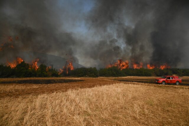 Πυρκαγιές σε Κρανίδι Αργολίδας, Ρίγανη Αιτωλοακαρνανίας, Νεοχώρι Μεσσηνίας