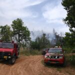 Πυρκαγιά στη Μαγούλα Αττικής