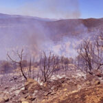 Φωτιές σε Φανερωμένη Ασπροπύργου και Σχιστό Κορυδαλλού