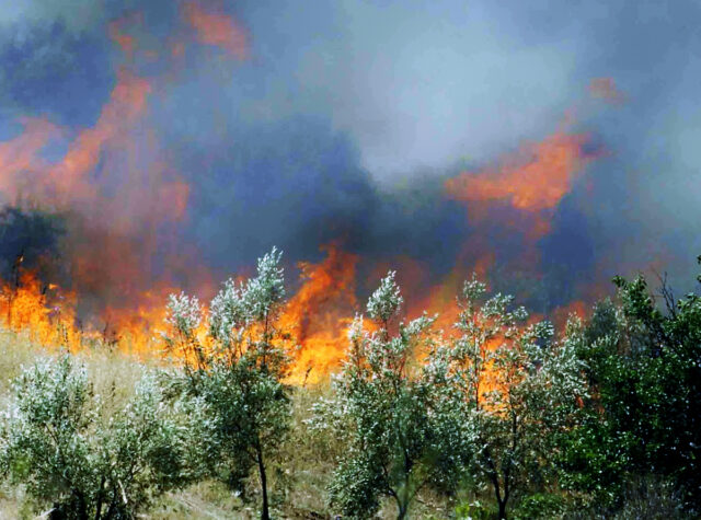 Φωτιές σε Θέρμη Θεσσαλονίκης και Νέα Ρόδα Χαλκιδικής
