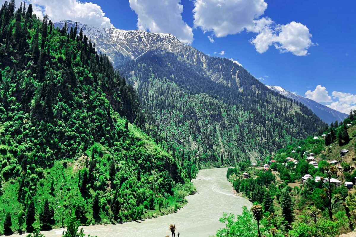 Ο Νόμος για την Αποκατάσταση της Φύσης πολεμήθηκε, αλλά πέρασε. Τι θα φέρει στην Ευρώπη;