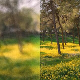 Η μακρά ιστορία greenwashing του Ισραήλ: Όταν τα δέντρα χρησιμοποιούνται στην εθνοκάθαρση των Παλαιστινίων