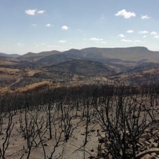 Να αναπνεύσει ο Έβρος ξανά: Από τις χρόνιες παθογένειες, στην αλλαγή κουλτούρας δασοπυρόσβεσης