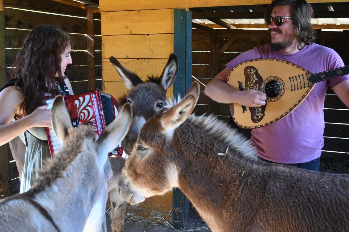 Όλη η Ελλάδα ένας Πολιτισμός 2024 