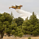 Δασική φωτιά στην Κω – Ήχησε το 112