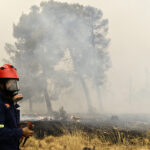 Πυρκαγιά σε δασική έκταση στα Χανιά – «Ήχησε» το 112