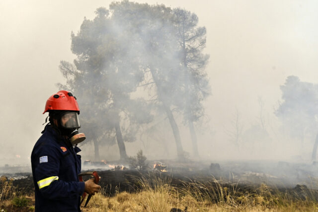 Πυρκαγιά σε δασική έκταση στα Χανιά – «Ήχησε» το 112