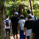 Δροσερές προτάσεις στην καρδιά του καλοκαιριού στη Βαμβακού Λακωνίας