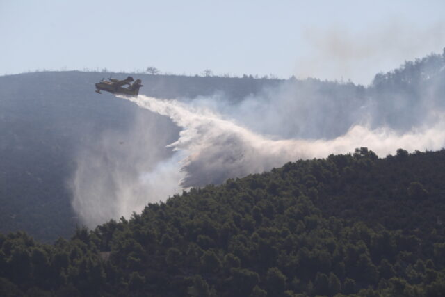 Πυρκαγιά στην Εύβοια: Ανετράπη πυροσβεστικό όχημα – Τραυματίστηκε ο οδηγός του