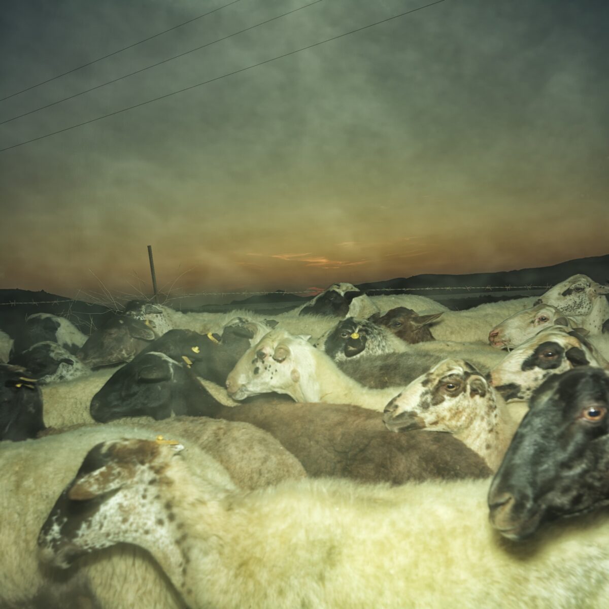 Αντώνης Βαής