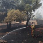 Μητσοτάκης: Χρειάζεται δουλειά στην πρόληψη – Μαθαίνουμε από την όποια αστοχία