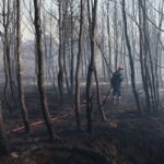 Τα διεθνή ΜΜΕ για τη φωτιά στην Αττική – “Ο εφιάλτης συνεχίζεται”