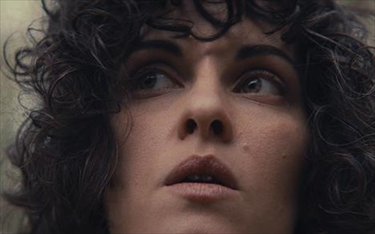 Κάμπια νύμφη πεταλούδα, του Κύρου Παπαβασιλείου