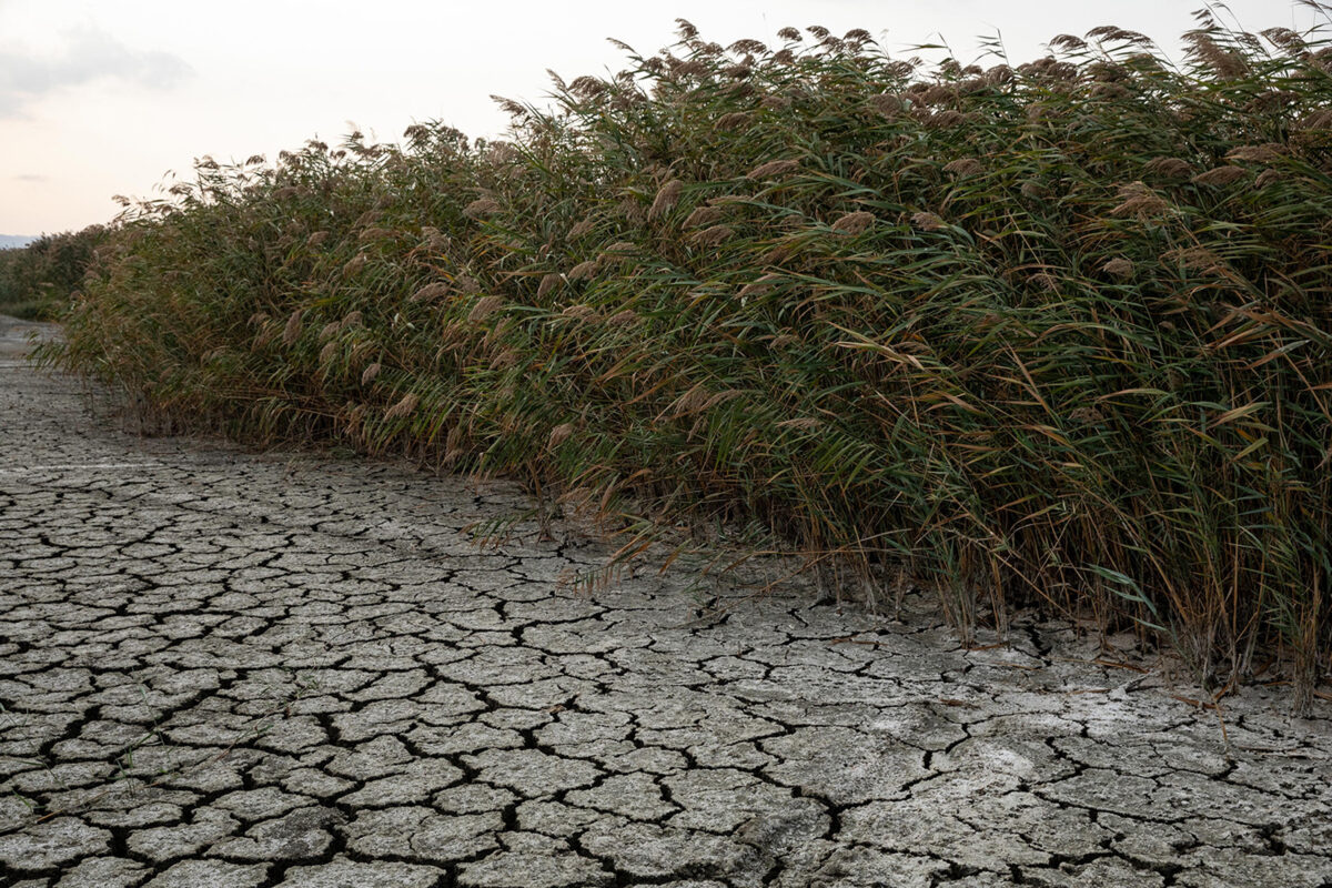 Λειψυδρία - ξηρασία