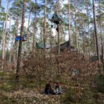 500.000 δέντρα κόπηκαν για να χτιστεί το μέγα-εργοστάσιο της Tesla στο Βερολίνο