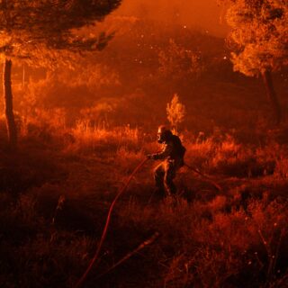 Οι πυρκαγιές μεταβάλλουν το μεσογειακό τοπίο. Γινόμαστε μάρτυρες μόνιμων αλλαγών;