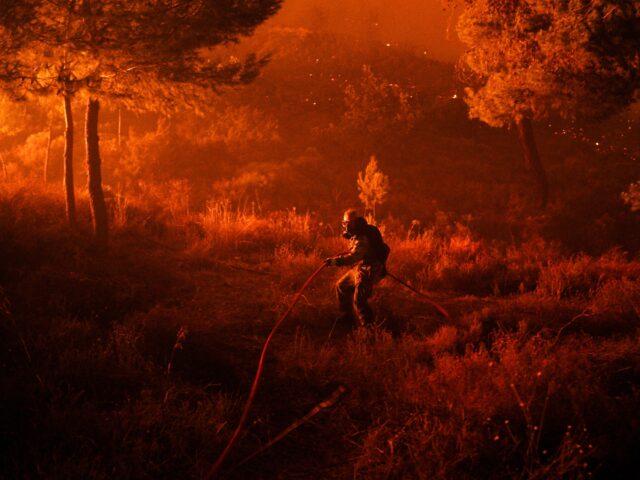 Οι πυρκαγιές μεταβάλλουν το μεσογειακό τοπίο. Γινόμαστε μάρτυρες μόνιμων αλλαγών;