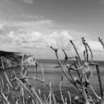 Thees Art Festival: Ένα νέο πολυθεματικό φεστιβάλ εγκαινιάζεται στη Σίφνο