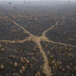 Κλιματική κρίση: Η Λατινική Αμερική αντιμέτωπη με τον μεγαλύτερο αριθμό πυρκαγιών στην ιστορία της