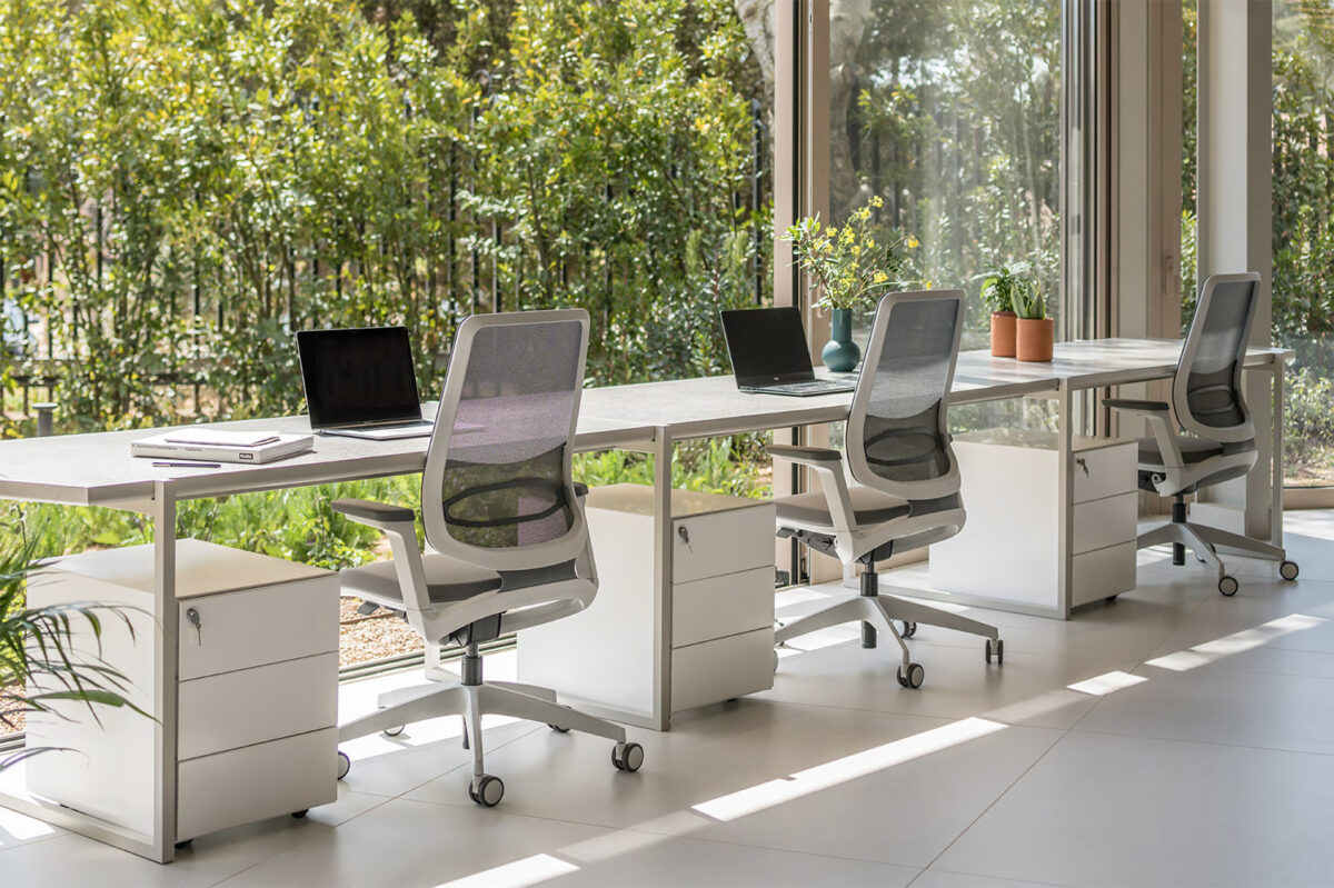 Το C-Pavilion δημιουργεί μια δυναμική ισορροπία ανάμεσα στην εργασία και την εμπειρία της φύσης.