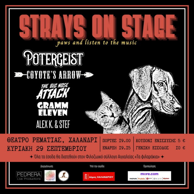 Strays on Stage: Συναυλία ενίσχυσης Φιλοζωικού Συλλόγου Αιγιαλείας