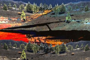 Φάκελος «Antinero» Μέρος Β’: Προστατεύει ή υποβαθμίζει περιβαλλοντικά τα δάση το Antinero;