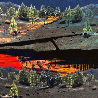 Φάκελος «Antinero» Μέρος Β’: Προστατεύει ή υποβαθμίζει περιβαλλοντικά τα δάση το Antinero;