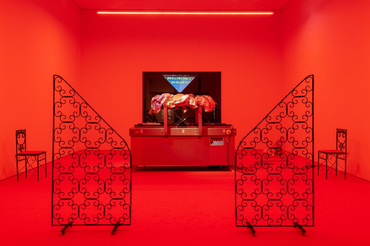 Δανάη Ανεσιάδου