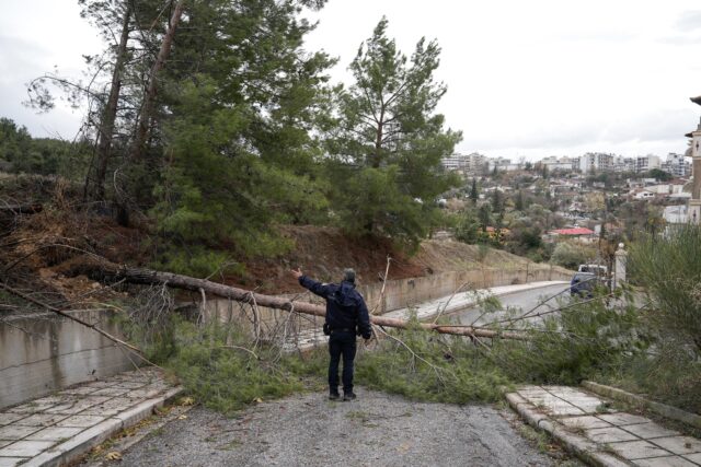 Ένας νεκρός από την κακοκαιρία Bora στην Τορώνη Χαλκιδικής