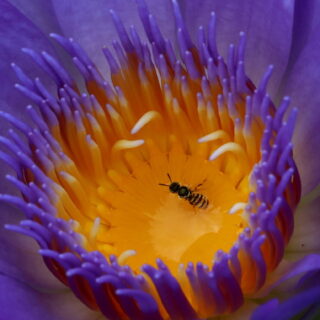 Τα χρώματα της φύσης: Φωτογραφίζοντας τον πλανήτη μας