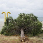 Κακοκαιρία Bora: Παραμένουν τα προβλήματα ηλεκτροδότησης σε Θεσσαλονίκη και Χαλκιδική