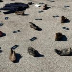 Εκδηλώσεις μνήμης στα Καλάβρυτα για την 81η επέτειο του ολοκαυτώματος