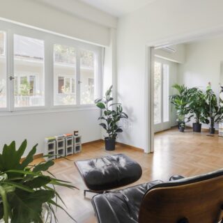 Plants and the city: Ένα διαμέρισμα στο Κολωνάκι μετατρέπεται σε μικρή πράσινη όαση