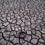 COP16: 300 δισ. ευρώ ετησίως το κόστος των ξηρασιών στον κόσμο, προειδοποιεί ο ΟΗΕ