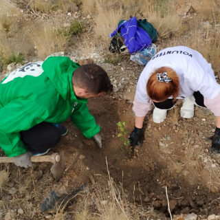 Σου φαίνεται παράξενο να δωρίσεις τη φύτευση ενός δέντρου;