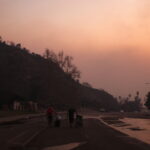 Ακυρώθηκαν όλες οι πρεμιέρες και οι εκδηλώσεις στο Χόλιγουντ λόγω των πυρκαγιών στο Λος Άντζελες