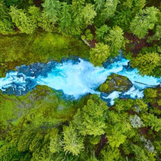 2+6 λόγοι για περιβαλλοντική αισιοδοξία το 2025