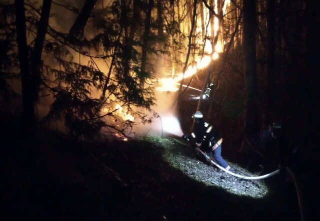 Ιαπωνία: Μεγάλη δασική πυρκαγιά μαίνεται ανεξέλεγκτη