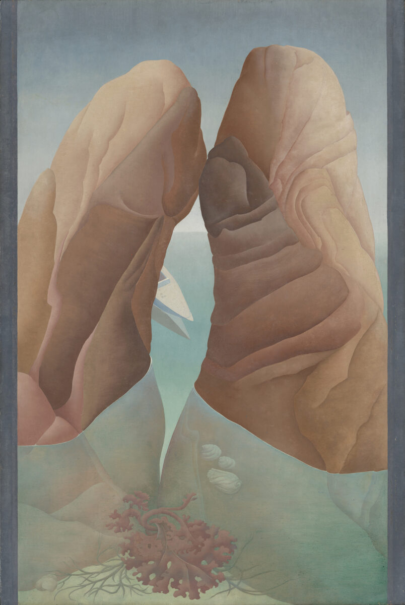 Ithell Colquhoun, Scylla