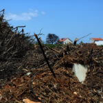 Στις 30 Απριλίου λήγει η προθεσμία για τους καθαρισμούς των οικοπέδων