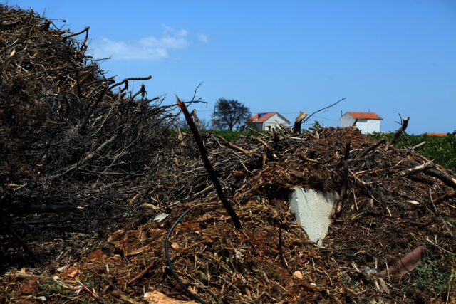 Στις 30 Απριλίου λήγει η προθεσμία για τους καθαρισμούς των οικοπέδων