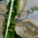 Κλιματική κρίση: Από πρωτοφανή ξηρασία πλήττεται η βόρεια Ευρώπη