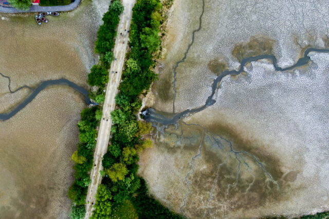 Κλιματική κρίση: Από πρωτοφανή ξηρασία πλήττεται η βόρεια Ευρώπη