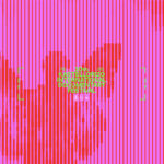 Ρεκόρ υποβολών και νέα οπτική ταυτότητα για το Beyond Borders 2025