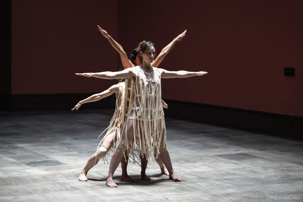 Διεθνές Φεστιβάλ Χορού Καλαμάτας