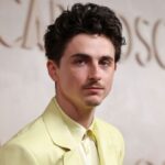 Η Ιταλική Ακαδημία Κινηματογράφου θα τιμήσει τον Τίμοθι Σαλαμέ