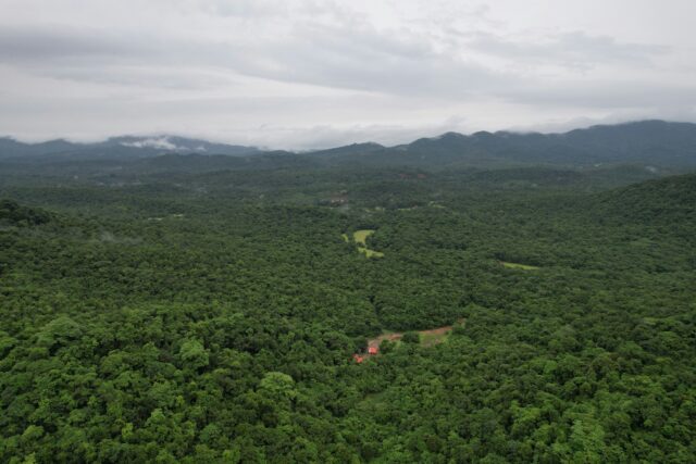 Ρεκόρ αποψίλωσης για τα τροπικά δάση: Χάθηκαν 67 εκατ. στρέμματα