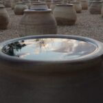 Η Δανάη Στράτου είναι η φετινή νικήτρια του Βραβείου Τέχνης 2025 του Ιδρύματος Γ. & Α. Μαμιδάκη.